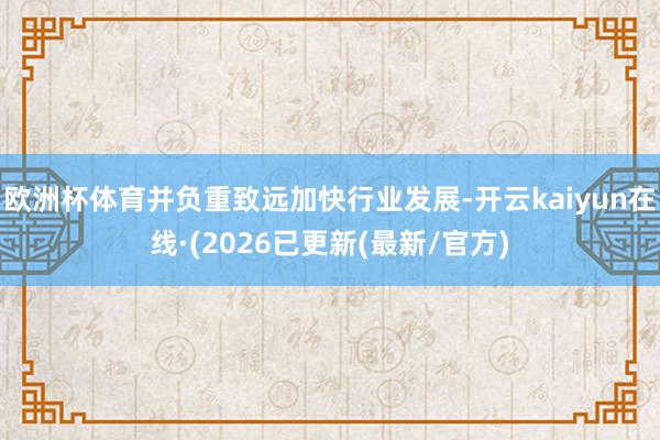 欧洲杯体育并负重致远加快行业发展-开云kaiyun在线·(2026已更新(最新/官方)